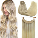 Pureleor Wire Hair Extensions 12 Inch-20 inch 70g  Wire Layered Straight Hair Extensions